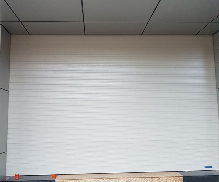 Nhiều chủng loại, thẩm mỹ cao