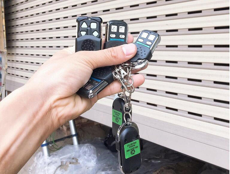 Dựa trên đặc điểm cấu tạo